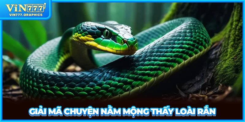 Giải mã chuyện nằm mộng thấy loài rắn