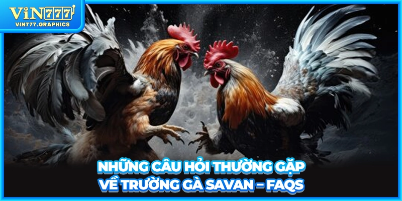 Những câu hỏi thường gặp về trường gà Savan - FAQs